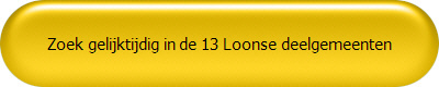 Zoek gelijktijdig in de 13 Loonse deelgemeenten